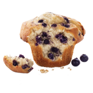Skinny Blueberry Muffin